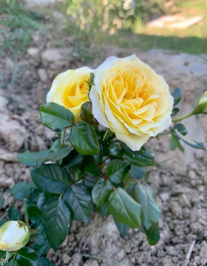 Casetta Nel Podere Di Massi 바르베리노 디 무겔로 외부 사진