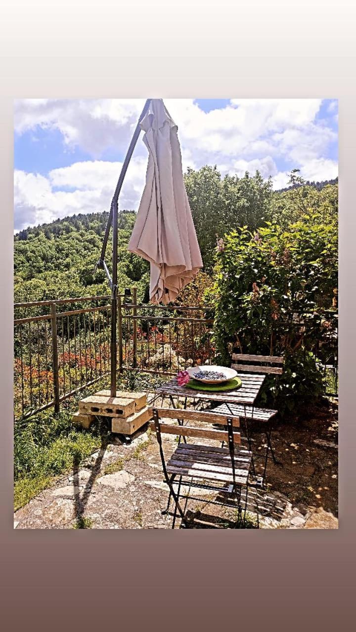 Casetta Nel Podere Di Massi 바르베리노 디 무겔로 외부 사진