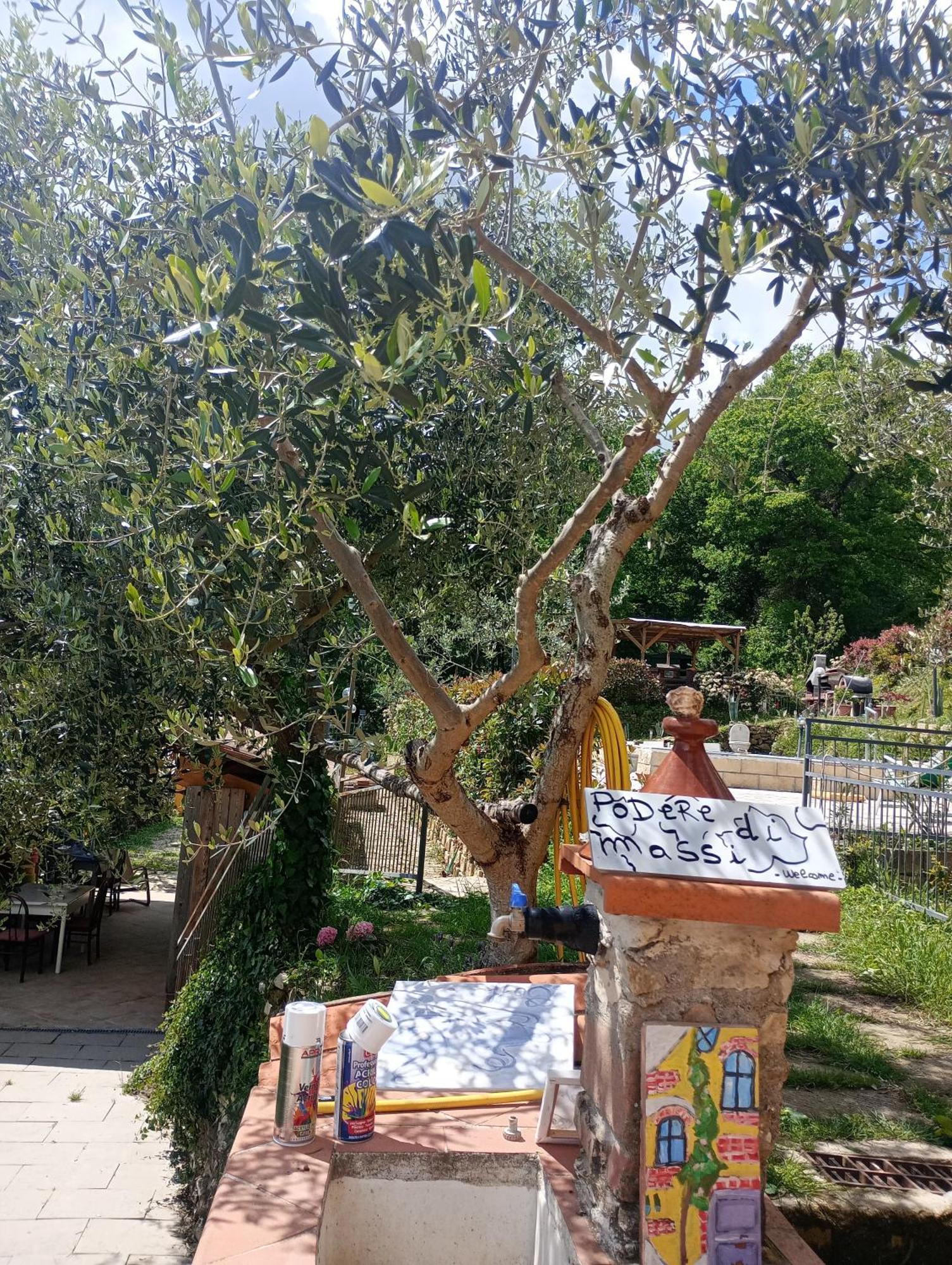 Casetta Nel Podere Di Massi 바르베리노 디 무겔로 외부 사진