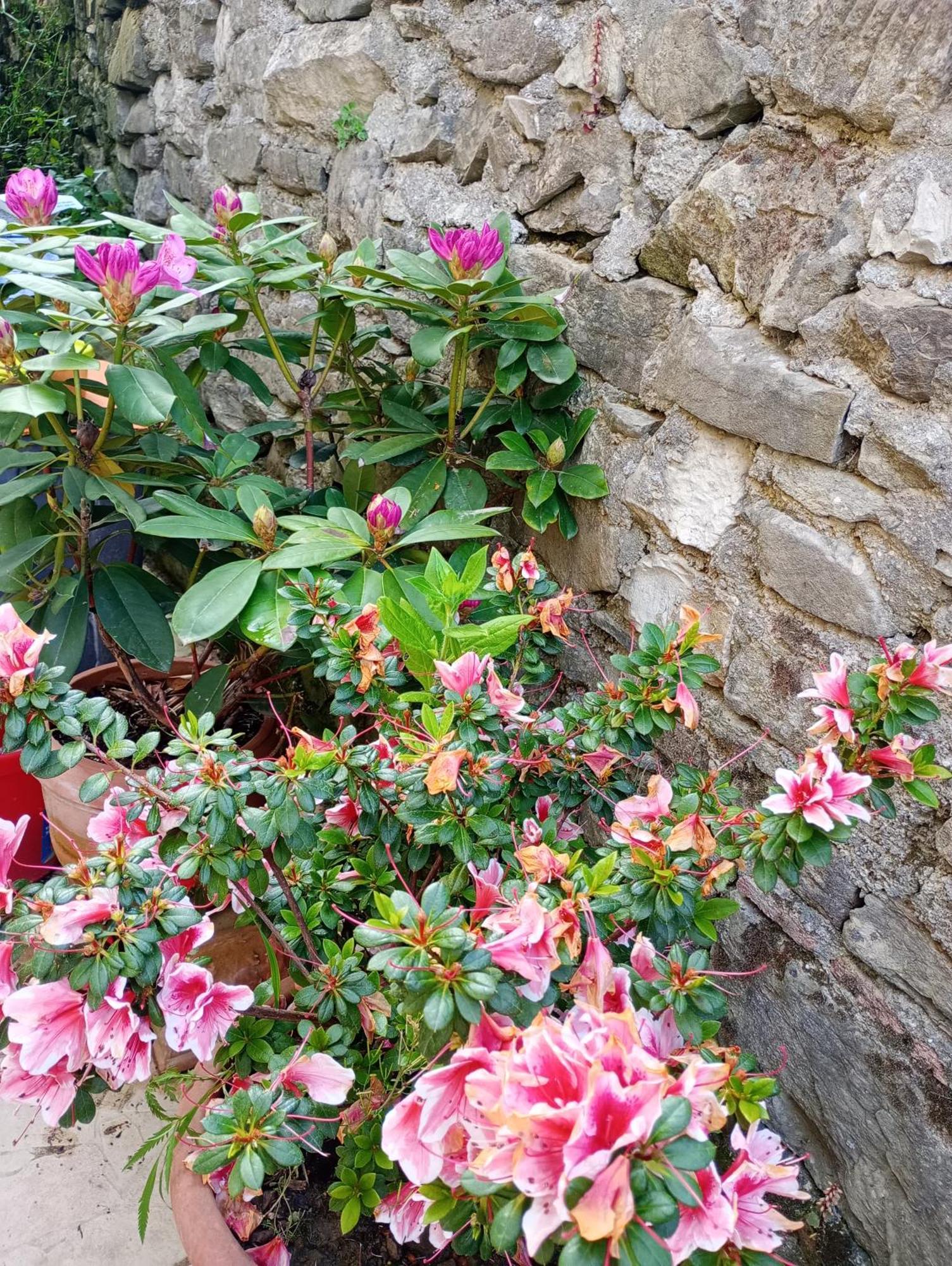 Casetta Nel Podere Di Massi 바르베리노 디 무겔로 외부 사진