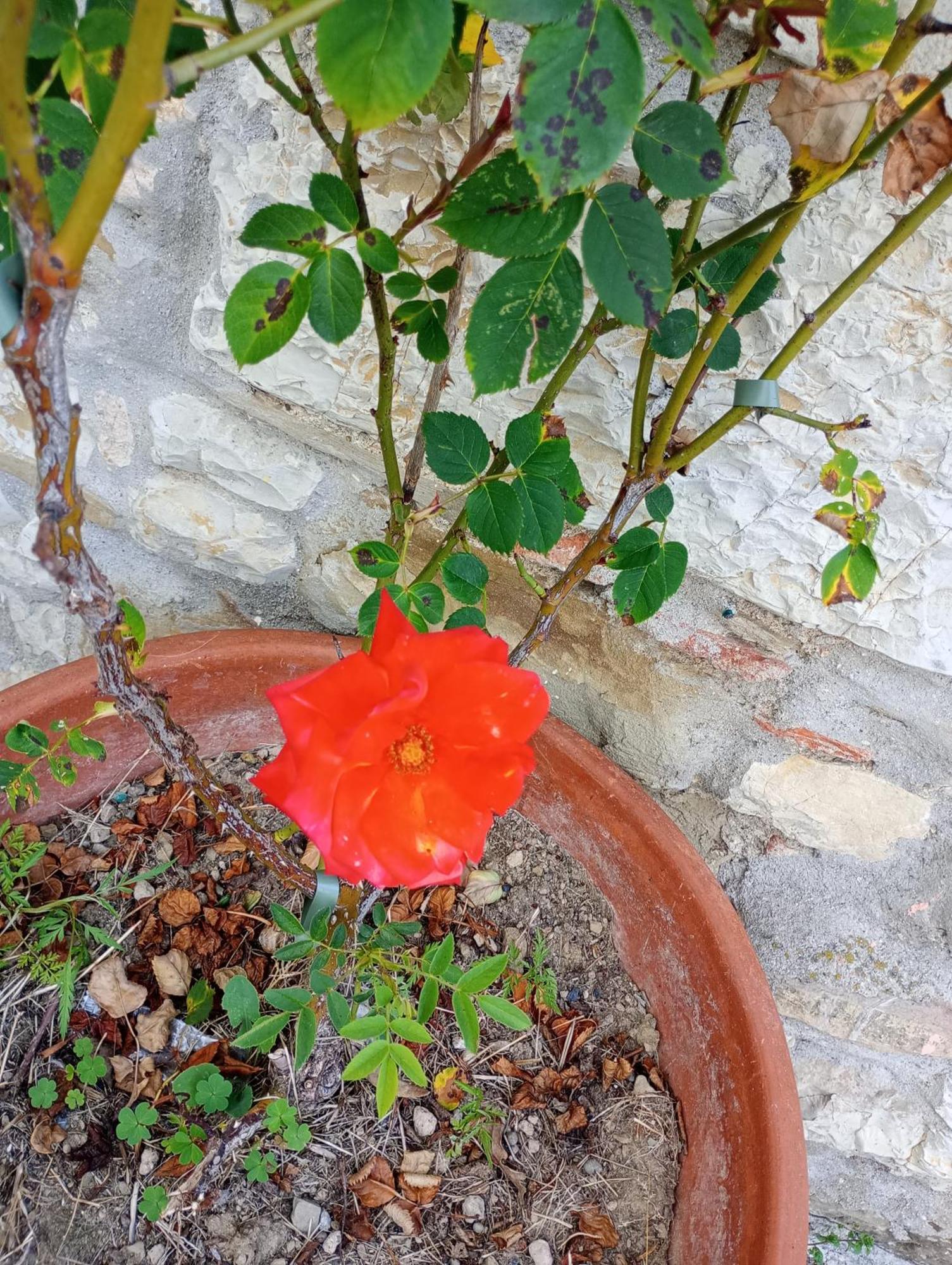 Casetta Nel Podere Di Massi 바르베리노 디 무겔로 외부 사진